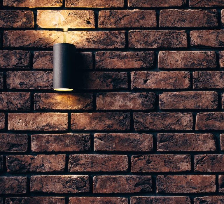 mieszkanie z dzikim lokatorem